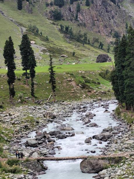 istock Tarsar Marsar Trek in Kashmir 1441075508