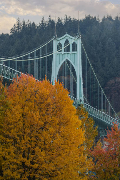 istock Autumn tree and St Johns Bridge, Portland Oregon 1441078297