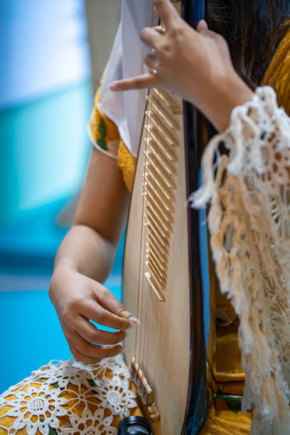 tocando o instrumento pipa - erhu - fotografias e filmes do acervo