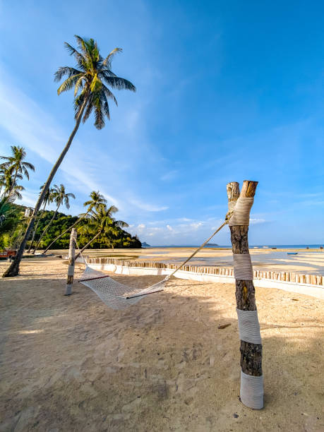 istock Loh Ba Kao Bay in koh Phi Phi Don, Krabi, Thailand 1441081543