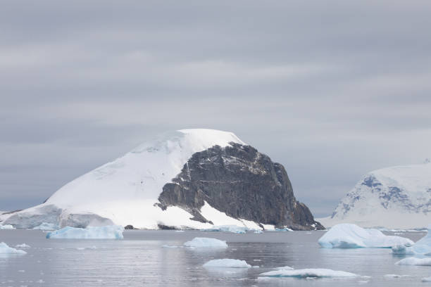 istock Cuverville Island, Antarctica 1441081937
