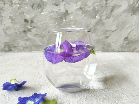 Soaking butterfly blue pea flower with water in a bubble glass on a gray background