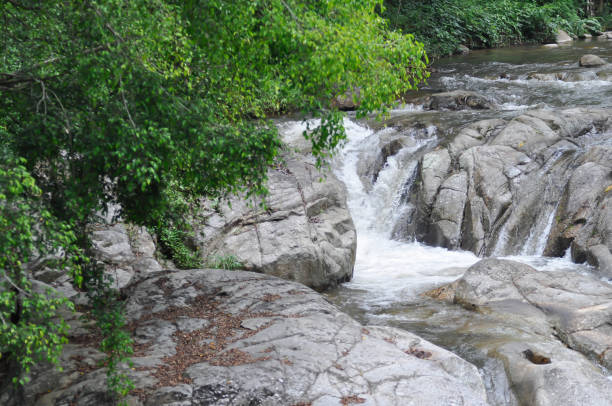 cachoeira, rocha e árvore na floresta ou fundo de cachoeira - bounce off - fotografias e filmes do acervo