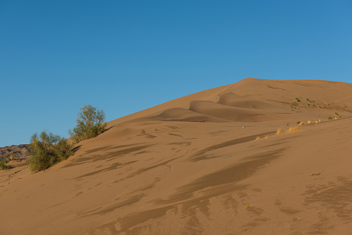 Giant sand dune on a summer day