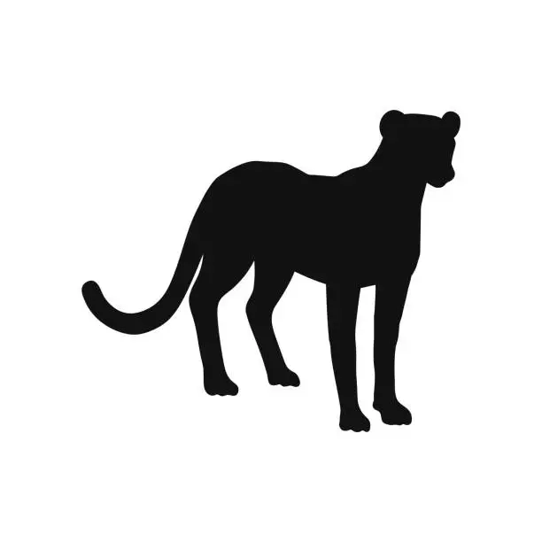 Vector illustration of Cheetah African predator wild animal black silhouette or contour vector isolated.