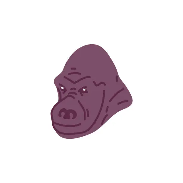 Vector illustration of African gorilla head flat style, vector illustration