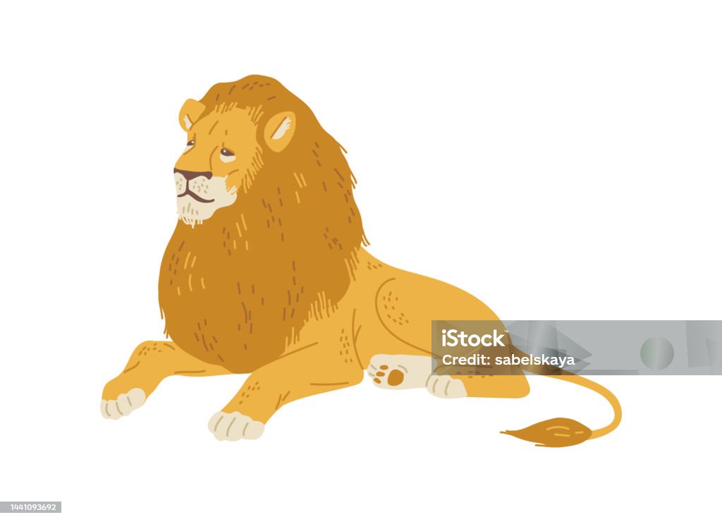Lion Resting Vector Lion Lying Flat Vector Illustration Isolated On White Background Stock ...