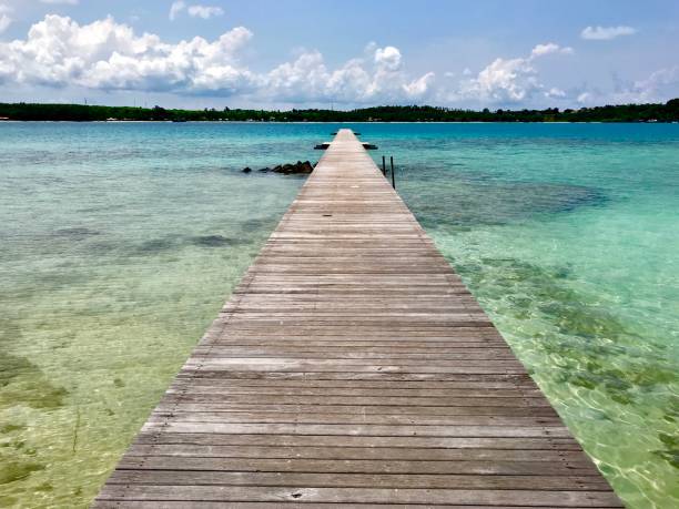 istock A walk towards the sea 1441095484