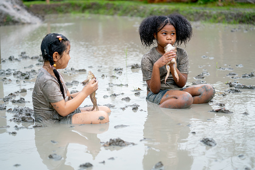 African American girl sit and kiss frog during fun play in mud playground with Asian friend and they enjoy to play during holiday with family.