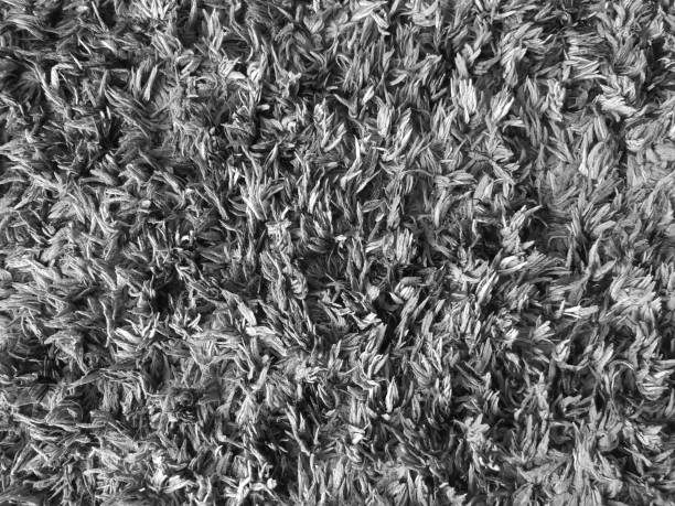 This is the soft texture of the black and white rug for the background work.