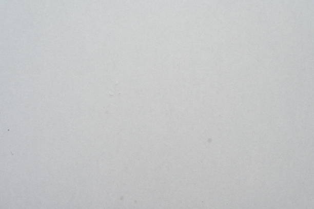istock white cardboard paper box, paper textured background 1441102534