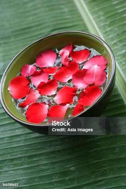 Rojo Pétalos Flotante En Verde Bowl Foto de stock y más banco de imágenes de Agua - Agua, Belleza, Bienestar