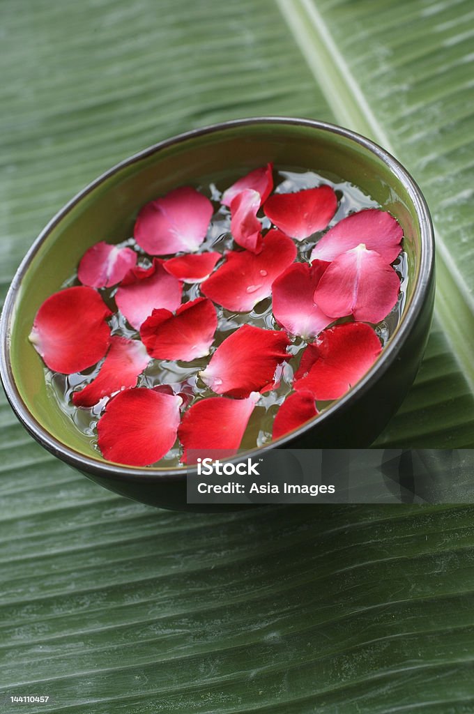 Red pétalas flutuando na Verde bowl - Foto de stock de Beleza royalty-free