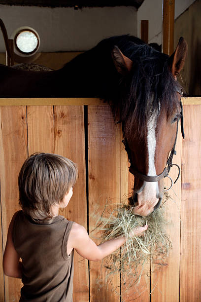 niño a caballo de alimentación - horse child animal feeding fotografías e imágenes de stock