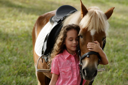 Small child hugs the big bay horse. Children's arms wrapped around the neck of a free horse. Love and friendship emotion concept