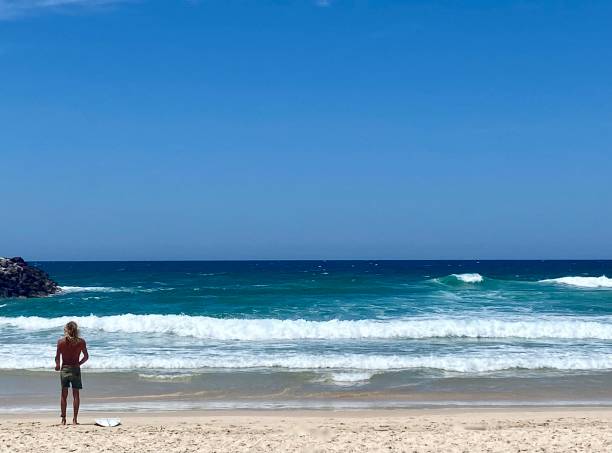 surfisti che guardano le onde dell'oceano - horizon over land sports and fitness nature wave foto e immagini stock