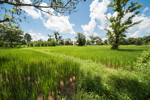 beautiful scenery in northeast thailand