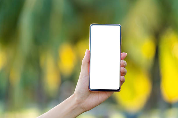 istock Woman's hand holding a smartphone against nature green background. Smartphone with blank screen for design mockup 1441112058