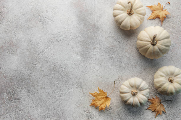 istock Thanksgiving or harvest flatlay with pumpkins on grey concrete background. 1441113265