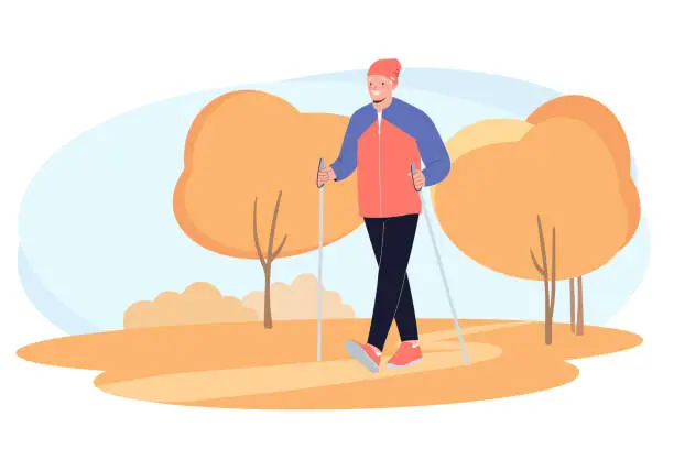 Vector illustration of Senior elderly man training Nordic walking with ski trekking poles in autumn forest. Active rest outdoors. Concept of active healthy lifestyle of seniors.