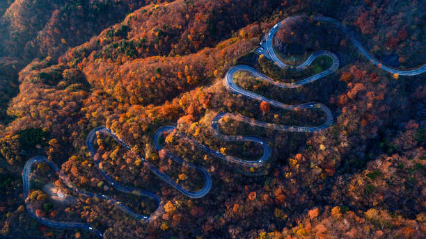 estrada sinuosa do nikko no outono, japão - nikko national park - fotografias e filmes do acervo