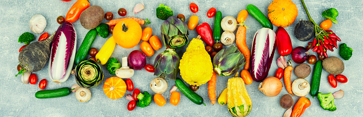 Colorful set of vegetables. Pumpkin Pepper Cucumber Tomato Artichoke Potato Broccoli Beet. Banner.
