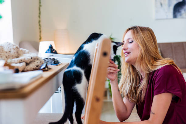 istock Pet owner playing with her curious cat 1441123938