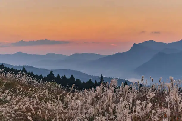 The vast grass field is located on Soni plateau. Nara prefecture, Japan