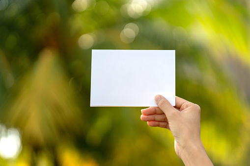 Woman's hand holding empty white paper against nature green background. Blank white card for design mockup