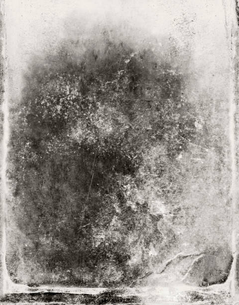 istock Grunge Background. Cracked structure effect. Rough grunge pattern design. Texture of damaged and scuffed material. Texture overlay 1441130386
