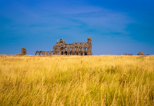 Whitby Abbey ruins UK in Scarborough Borough Concil of England United Kingdom North Yorkshire. Where Dracula novel was inspired by Bram Stoker writer.