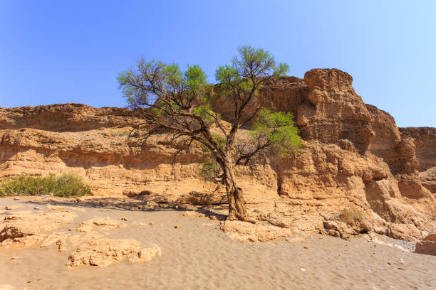 istock Sesriem Canyon, important attraction Namib Desert. Namibia. 1441131325