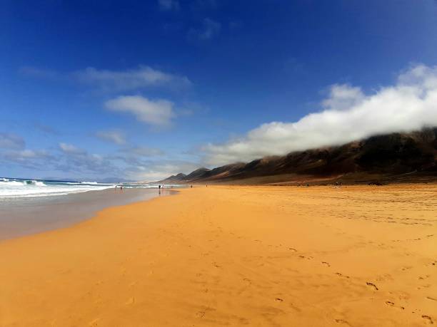 istock fuerteventura. Canary Islands 1441133002