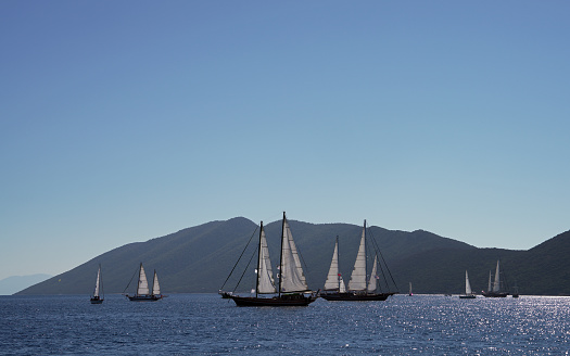 Boats in the sailing race