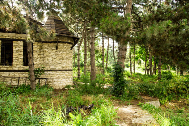 istock Old house in the forest 1441140400