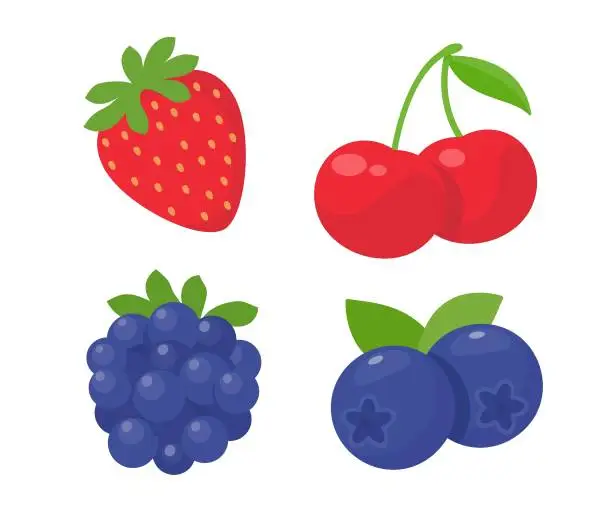 Vector illustration of Blueberry vector. Fresh berries. Healthy fruits contain antioxidants.