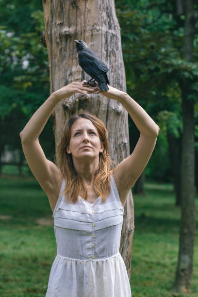istock jackdaw bird interacting with a woman 1441153074