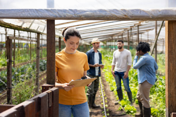 istock Woman working at an organic farm as manager 1441154877