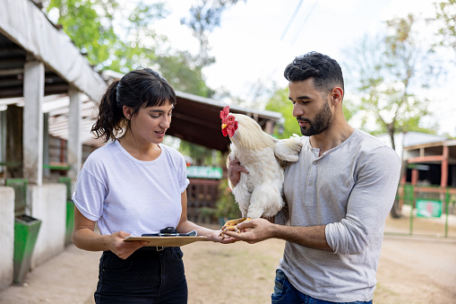 Team of Latin American workers working at an organic farm and carrying a chicken - farming concepts