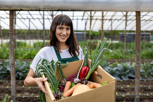 Portrait of a happy Latin American woman harvesting vegetables at her organic farm