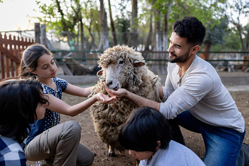 Group of Latin American kids on a field trip at an animal farm and feeding a sheep