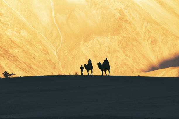 istock Sunset at Sand dunes, Nubra valley 1441155433
