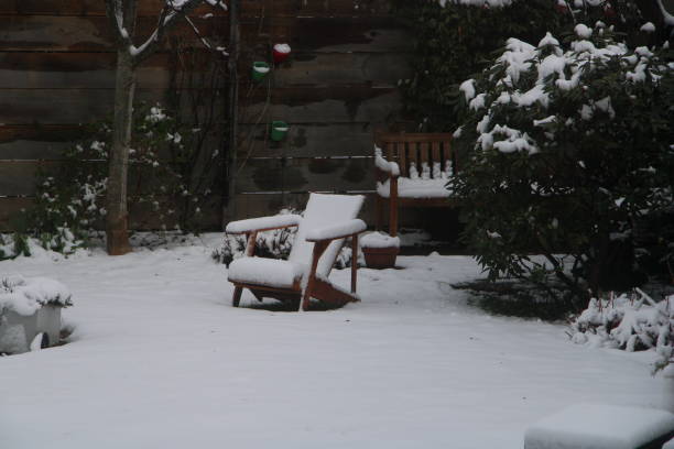 istock a lonely char in the snow 1441155676