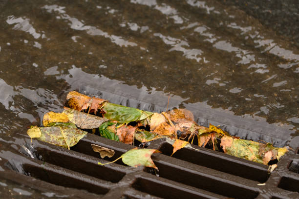 istock Rainwater drainage or storm grille closeup during a downpour 1441162158