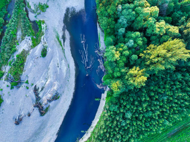 istock A rocky river in the middle of a forest. 1441162620