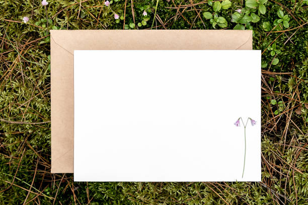 istock White blank card, craft envelope on green natural background in forest. Eco friendly concept. Top view Flat lay Mockup 1441163926