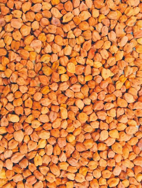 Brown chickpeas kala chana dried whole black chick pea organic food red desi indian bengal grams garbanzo beans Egyptian peas lentils high in protein and fiber image stock photo stock photo