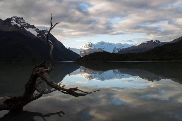 A tree limb frames a mount, glacier, and lake reflection in Torres del Paine National Park