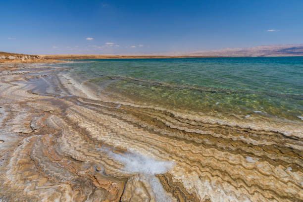 Mud and layers of salt on the coast of the Dead Sea in Israel Mud and layers of salt on the coast of the Dead Sea in Israel dead sea scrolls stock pictures, royalty-free photos & images