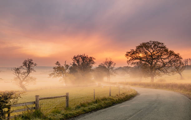 istock Fog covering the trees captured from the winding road 1441170321